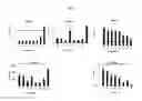 Fig. 08 - METHODS FOR TREATMENT OF BACTERIAL INFECTIONS
