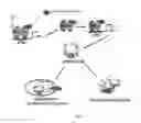 Fig. 03 - RXR AGONIST COMPOUNDS AND METHODS