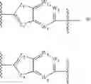 Fig. 06 - Anti-Viral Compounds