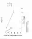 Fig. 02 - SMAC MIMETEC