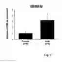 Fig. 22 - Means And Methods For Counteracting, Preventing And/Or Determining Heart Failure, Or A Risk Of Heart Failure