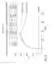 Fig. 19 - Ghrelin binding nucleic acids
