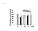Fig. 06 - COMPOSITION AND METHOD FOR NEUROPROTECTION AGAINST EXCITOTOXIC INJURY