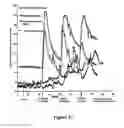 Fig. 42 - ABUSE-RESISTANT AMPHETAMINE PRODRUGS