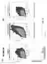 Fig. 04 - Methods for tumor treatment and adipogenesis differentiation