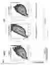 Fig. 07 - Methods for tumor treatment and adipogenesis differentiation