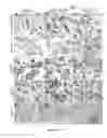 Fig. 09 - Methods for tumor treatment and adipogenesis differentiation