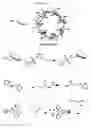 Fig. 04 - Cyclodextrin-modified polyamines for delivery of therapeutic molecules