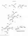 Fig. 06 - Cyclodextrin-modified polyamines for delivery of therapeutic molecules