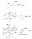 Fig. 08 - Cyclodextrin-modified polyamines for delivery of therapeutic molecules
