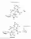 Fig. 09 - Cyclodextrin-modified polyamines for delivery of therapeutic molecules