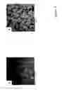 Fig. 03 - XANTHAN GUM AND SWELLABLE PARTICULATE CONTAINING COMPOSITION AND USES THEREOF