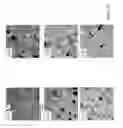 Fig. 12 - XANTHAN GUM AND SWELLABLE PARTICULATE CONTAINING COMPOSITION AND USES THEREOF