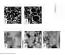 Fig. 24 - XANTHAN GUM AND SWELLABLE PARTICULATE CONTAINING COMPOSITION AND USES THEREOF