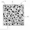 Fig. 01 - Thermoplastic resin composite bead production method, expandable thermoplastic resin composite bead, expanded thermoplastic resin composite bead, and foamed molded article formed from expanded thermoplastic resin composite beads