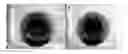 Fig. 01 - COMPOSITE BONE CEMENTS WITH A PMMA MATRIX, CONTAINING BIOACTIVE ANTIBACTERIAL GLASSES OR GLASSCERAMICS