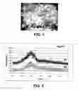 Fig. 02 - COMPOSITE BONE CEMENTS WITH A PMMA MATRIX, CONTAINING BIOACTIVE ANTIBACTERIAL GLASSES OR GLASSCERAMICS