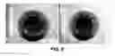 Fig. 06 - COMPOSITE BONE CEMENTS WITH A PMMA MATRIX, CONTAINING BIOACTIVE ANTIBACTERIAL GLASSES OR GLASSCERAMICS
