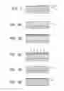 Fig. 02 - Process for forming a hydrophilic coating and hydrophilic coating, and process for forming an ink jet recording head and ink jet recording head
