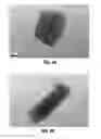 Fig. 06 - Polymer Encapsulation Of Particles