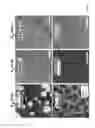 Fig. 10 - Patternable polymer block brush layers