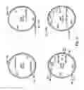 Fig. 06 - gene and methods for stable genetic integration in yeast