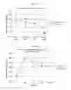 Fig. 02 - GLUCOSE METABOLISM-IMPROVING AGENT AND GLUCOSE METABOLISM-IMPROVING COMPOSITION