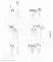 Fig. 10 - SWITCHABLE SOLVENTS AND METHODS OF USE THEREOF
