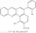 Fig. 41 - Phosphonate fluorescent dyes and conjugates