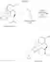 Fig. 02 - Method for the manufacturing of naltrexone