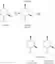 Fig. 04 - PROCESS FOR MAKING NEO-ENRICHED p-MENTHANE COMPOUNDS