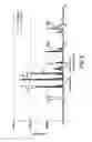 Fig. 06 - Single loop multistage fuel production