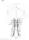Fig. 10 -  DEVICE FOR PREVENTING INCONTINENCE