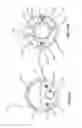 Fig. 24 - Optically guided medical tube and control unit assembly and methods of use