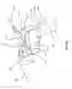 Fig. 36 - Optically guided medical tube and control unit assembly and methods of use
