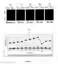 Fig. 08 - Intra-operative molecular imaging