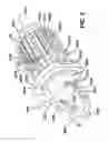 Fig. 07 - Biopsy sample storage