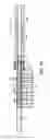 Fig. 13 - Needle biopsy device with exchangeable needle and integrated needle protection