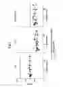 Fig. 07 - MEASUREMENT OF BIO-SIGNALS