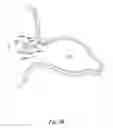 Fig. 09 - Occlusion apparatus