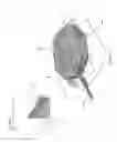 Fig. 17 - Apparatuses and methods for negative pressure wound therapy