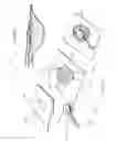 Fig. 69 - Apparatuses and methods for negative pressure wound therapy