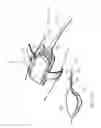 Fig. 79 - Apparatuses and methods for negative pressure wound therapy