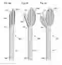 Fig. 05 - Balloon assisted occlusion of aneurysms