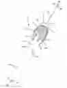 Fig. 01 - Axially reciprocating microsurgical instrument with radially compressed actuator handle