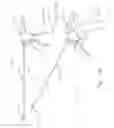 Fig. 08 - Surgical instrument with pivoting coupling to modular shaft and end effector