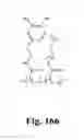 Fig. 167 - Adhesive compounds and methods use for hernia repair