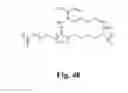 Fig. 49 - Adhesive compounds and methods use for hernia repair