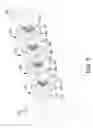 Fig. 06 - Lead connector with glass insulators