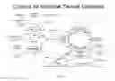 Fig. 09 - Optical method and device for modulation of biochemical processes in adipose tissue